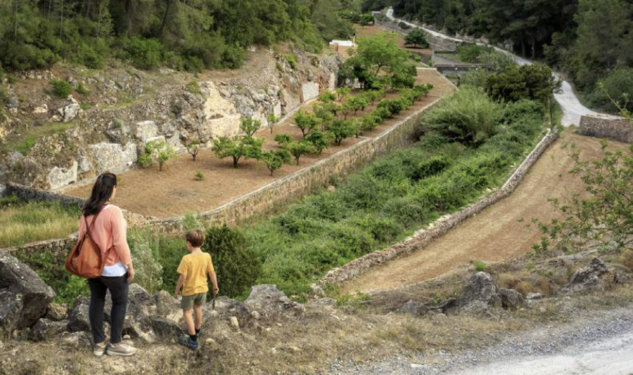 La vall de Buscastell.