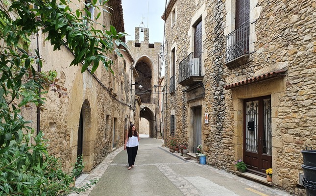 La muralla de Palau-sator i la porta d'entrada a la ciutat