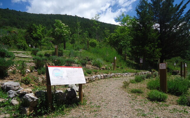 El jardí botànic de les Trementinaires