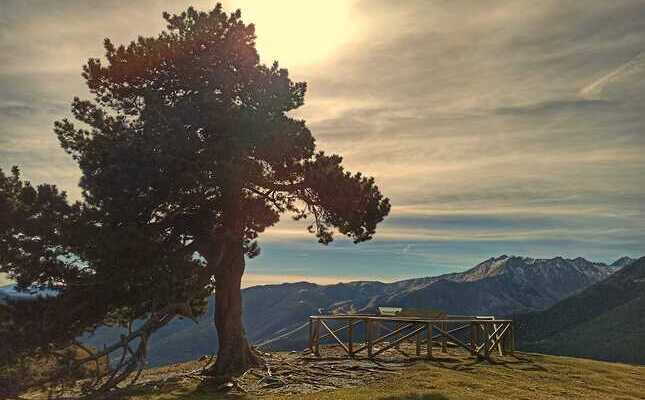 Visites des del coll de Fogueruix