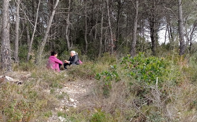 Dues participants realitzant un dels exercicis d’un bany de bosc al Garraf