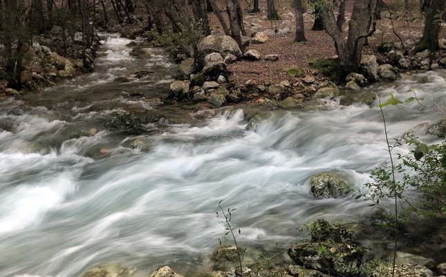 L’espectacle natural a Ses Fonts Ufanes, a Campanet