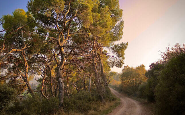 La vall del Corb