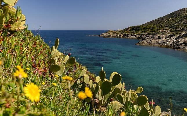 La platja de la Tamariua a la primavera