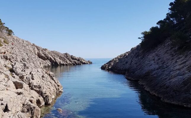 La petita cala Pedrosa, un refugi marítim entre pins i roques