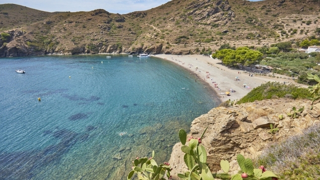 Cala Jòncols - Imatge aèria de la cala Jòncols, envoltada de roques i penya-segats   