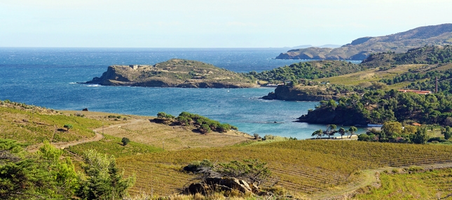 Panoràmica de la Costa Vermella, a la zona de Les Paulilles