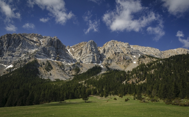 El prat de Cadí, a la Cerdanya