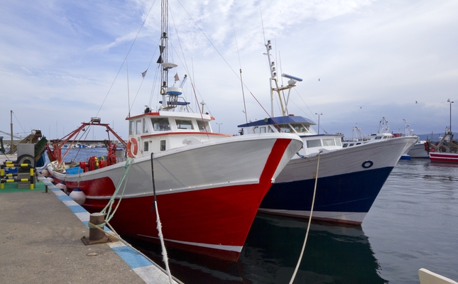 Barques de pesca al port de Palamós