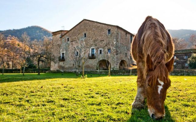 Masia a la vall de Bianya