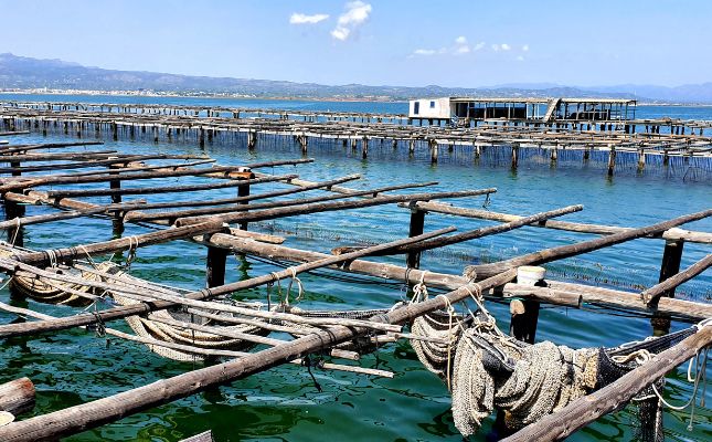 Les muscleres del delta de l’Ebre