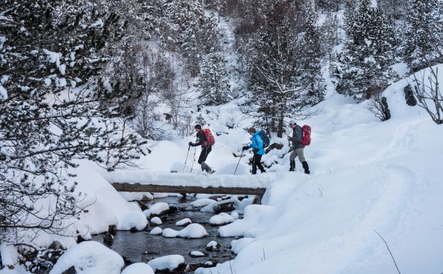 Excursions de raquetes al Pallàrs Sobirà