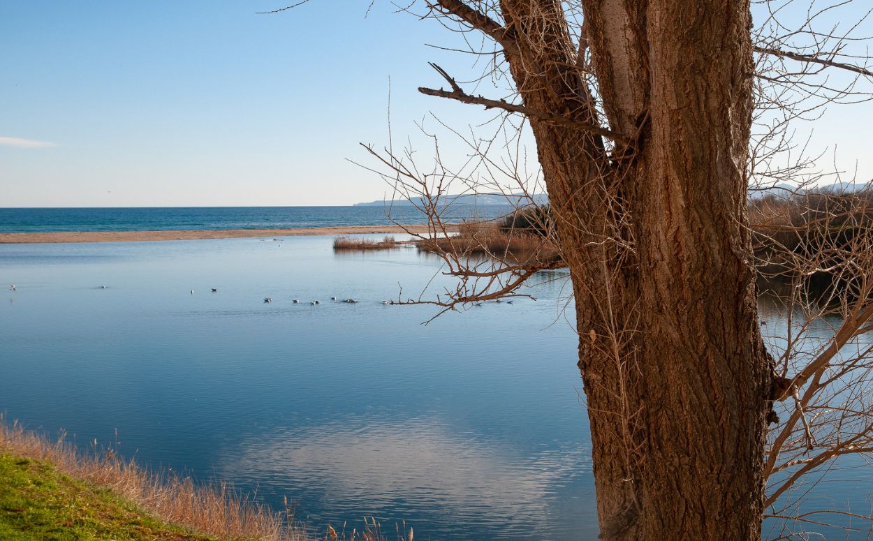 Boca del riu Muga