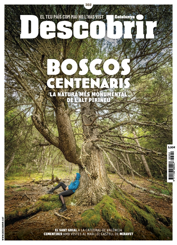 Portada Boscos centenaris - Descobrir 302