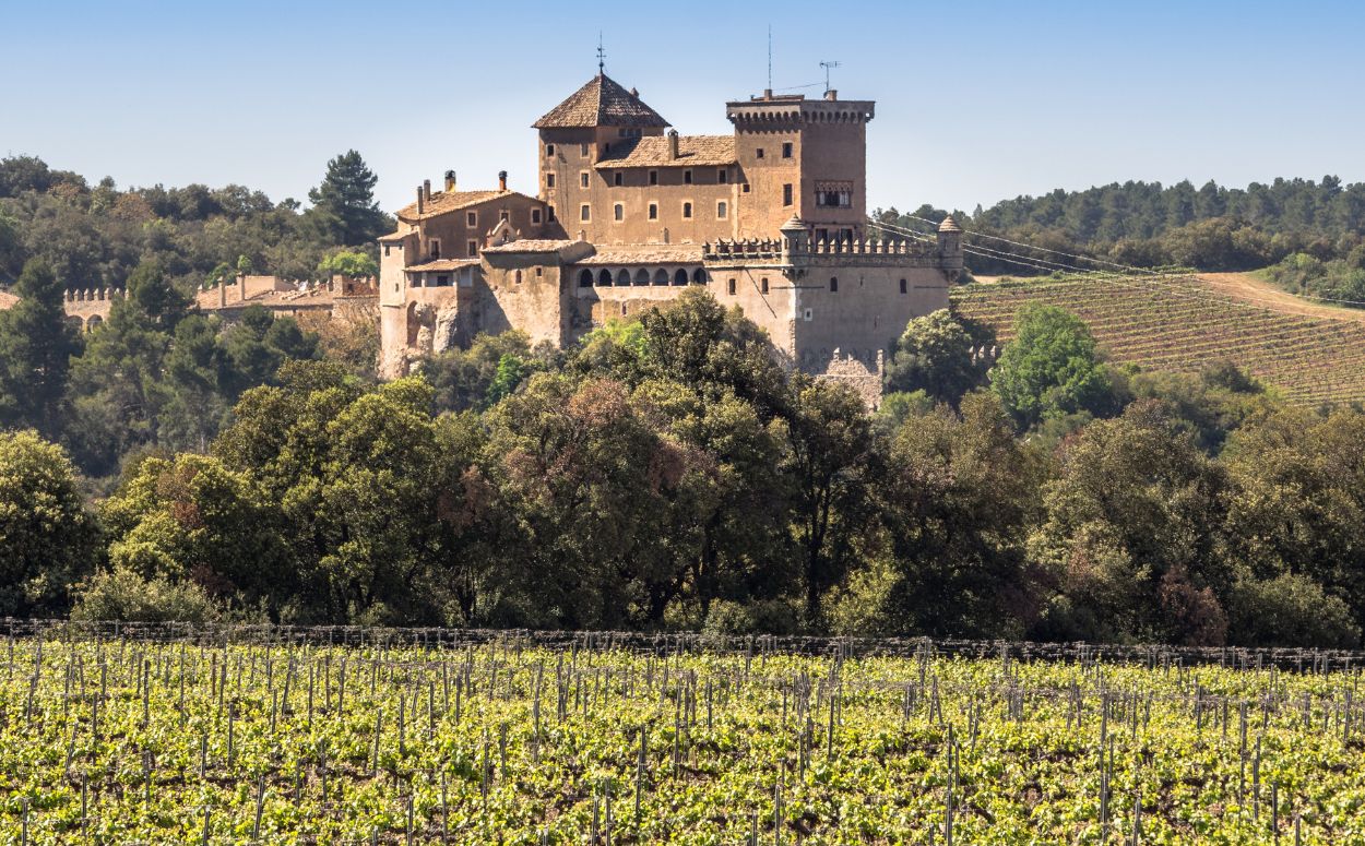 Castell de Riudabella, al peu del bosc de Poblet, en el terme municipal de Vimbodí i Poblet