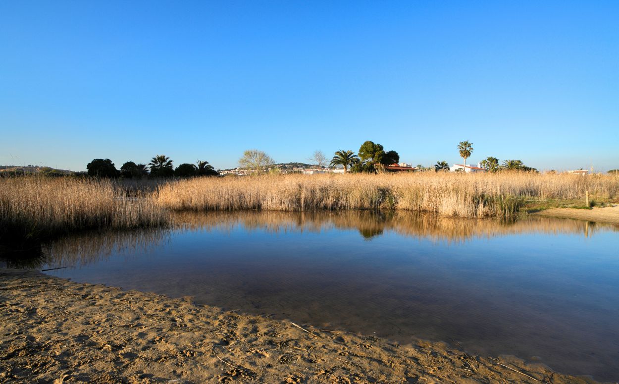 Platja d’Altafulla, on trobem la desembocadura del Gaià