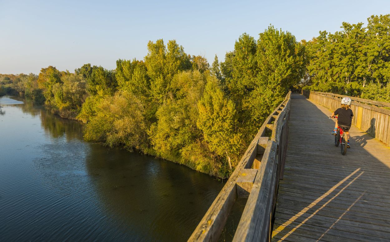 Pont sobre el riu Muga