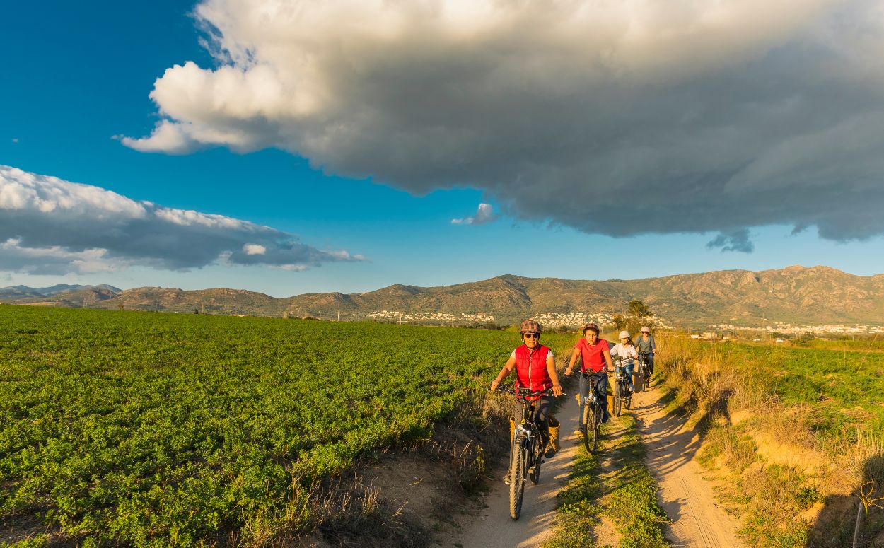 Passeig en 'burricleta' als Aiguamolls de l'Empordà