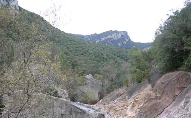 De Sadernes a Sant Aniol d’Aguja - Recorrem la vall coronada per l'ermita romànica de Sant Aniol, a l'alta Garrotxa. En tot moment, ens hi acompanyaran les paraules de Marià Vayreda, que dedicà a aquests paisatges la novel·la 'La punyalada'.