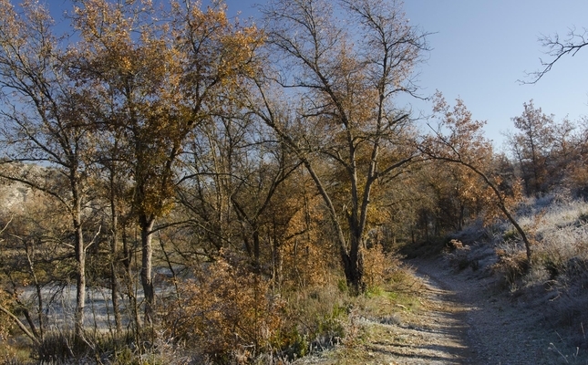 El Llobregós i la seva natura - Paisatges oberts i planers amb vista a l'horitzó. Però també paisatges durs i desnivells abruptes. Tots ens acompanyaran en la descoberta dels diferents ambients d'aquesta zona protegida de la Segarra.