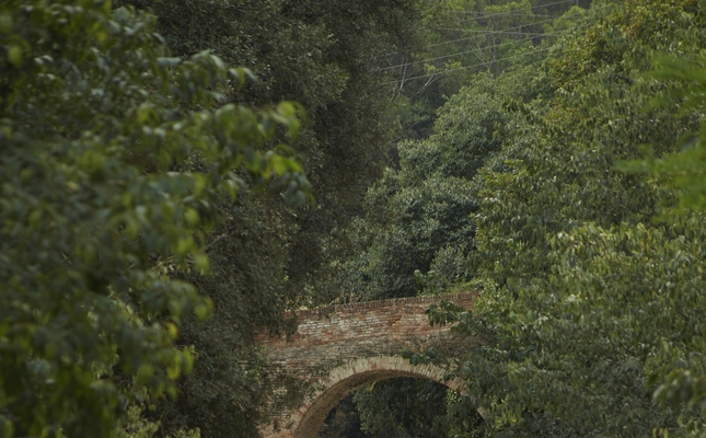 La Collserola tranquil·la i amable - Les grans urbs de l’Àrea Metropolitana de Barcelona reserven espais importants per al lleure a l’aire lliure. L’itinerari que proposem enllaça de manera natural el parc del Turonet, a Cerdanyola, amb el parc de Collserola pel vessant més amable de la serralada