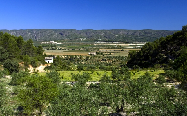 El vi, l’oli i el cereal despleguen a les Alcusses, a la Costera, un paisatge amable i escassament transformat per les noves tecnologies agràries. Passejarem entre camps de conreu i cases de les heretats, fetes amb materials tradicionals