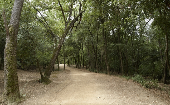 La Collserola tranquil·la i amable - Les grans urbs de l’Àrea Metropolitana de Barcelona reserven espais importants per al lleure a l’aire lliure. L’itinerari que proposem enllaça de manera natural el parc del Turonet, a Cerdanyola, amb el parc de Collserola pel vessant més amable de la serralada