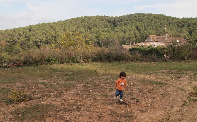 Un tastet de Collserola: del monestir de Sant Cugat a Can Borrell - Des del centre de Sant Cugat del Vallès s’arriba fàcilment a les portes del vessant nord del Parc Natural de la Serra de Collserola. El nostre itinerari té força sorpreses: un pi de 23 metres, una riera frondosa, petjades de porcs senglars i bonics ocellets com el pit-roig o el rossinyol