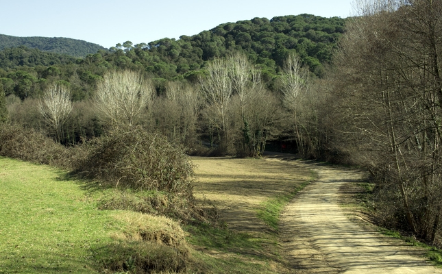 Recorregut per la vall del riu Mogent, des del Santuari del Corredor, punt neuràlgic del Parc del Montnegre i el Corredor, fins a Montmeló.