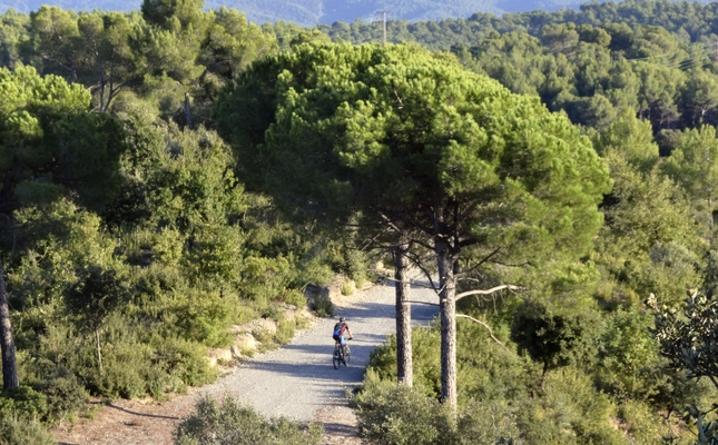 Fem un volt pel corredor ecològic del Vallès