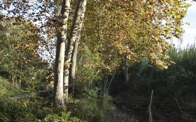 Fem un volt pel corredor ecològic del Vallès