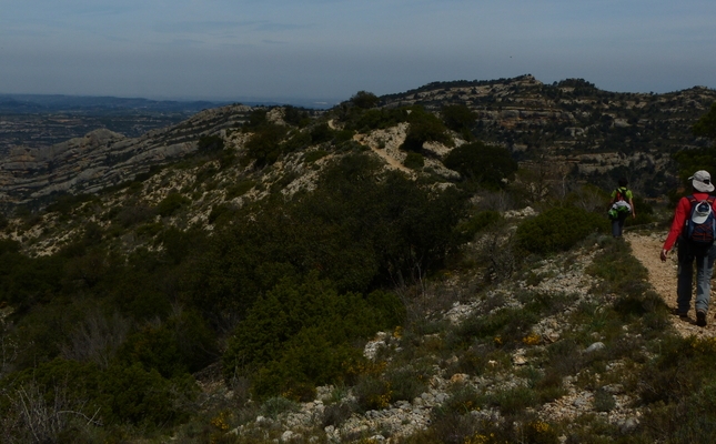 Aquesta és una ruta aèria i assotada pel vent, en ple Priorat agrest i salvatge. Un sender fàcil i sense complicacions que ens encimbella a la serra Major de Montsant i ens permet gaudir d’un dels seus indrets més màgics: el toll de l’Ou.