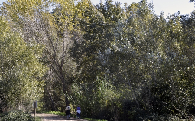 Fem un volt pel corredor ecològic del Vallès