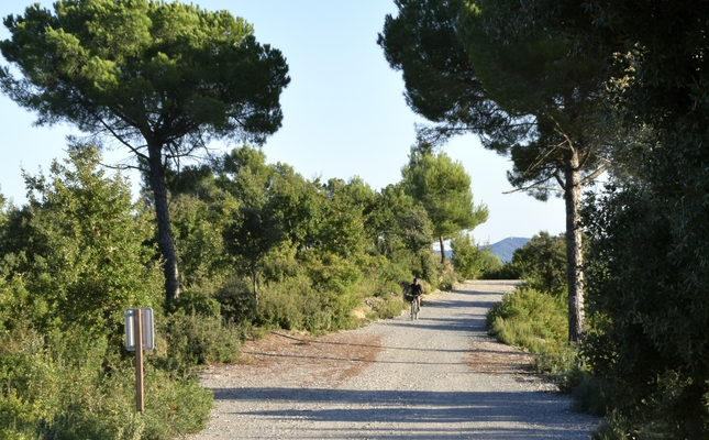 Fem un volt pel corredor ecològic del Vallès