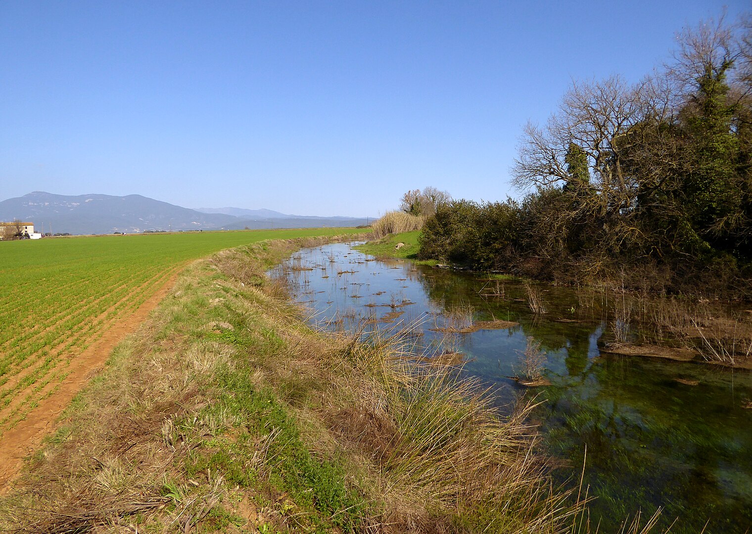 L'aigua del clot d’Espolla prové dels corrents subterranis que alimenten l’estany de Banyoles