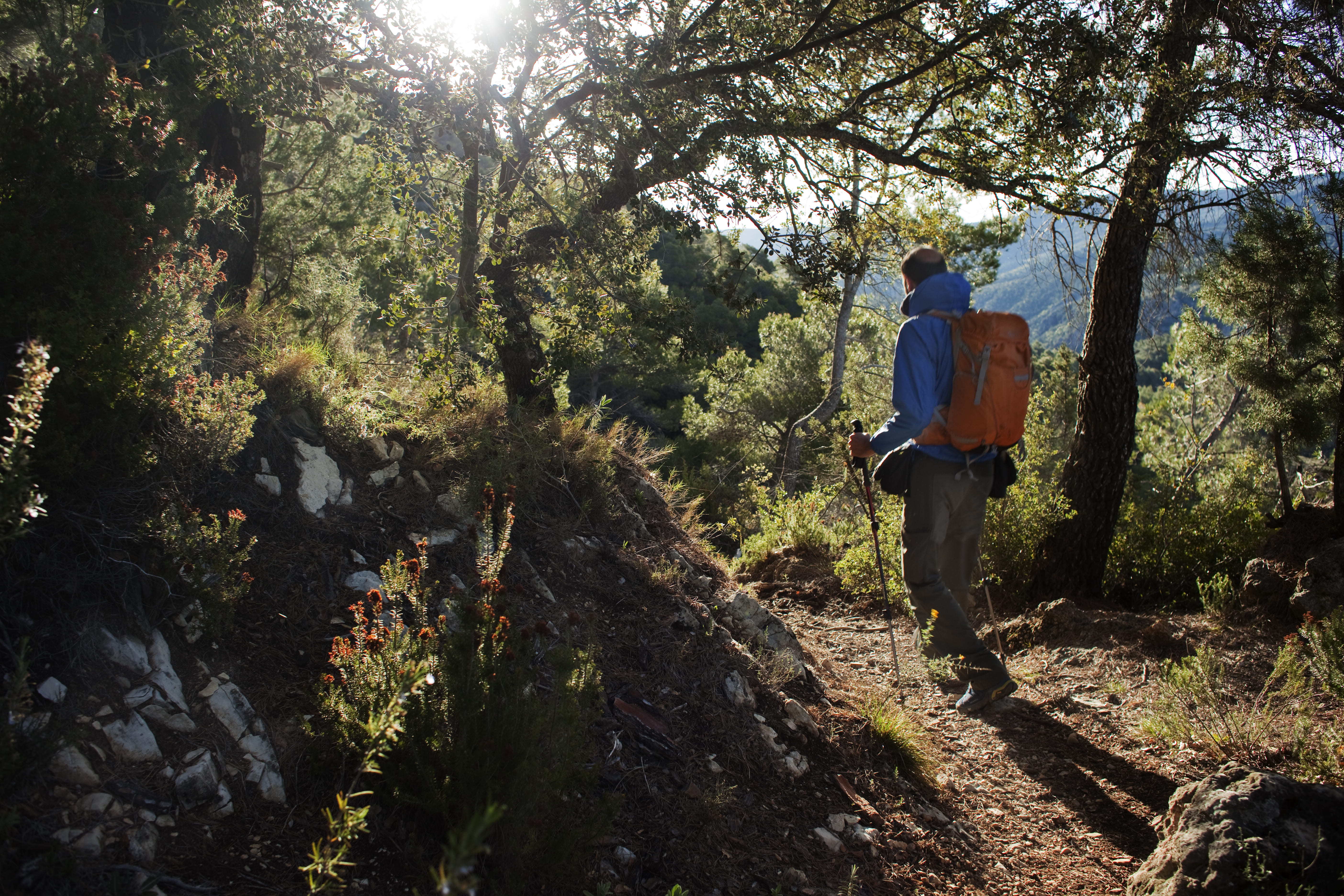 Les muntanyes de Prades envolten el poble de Farena