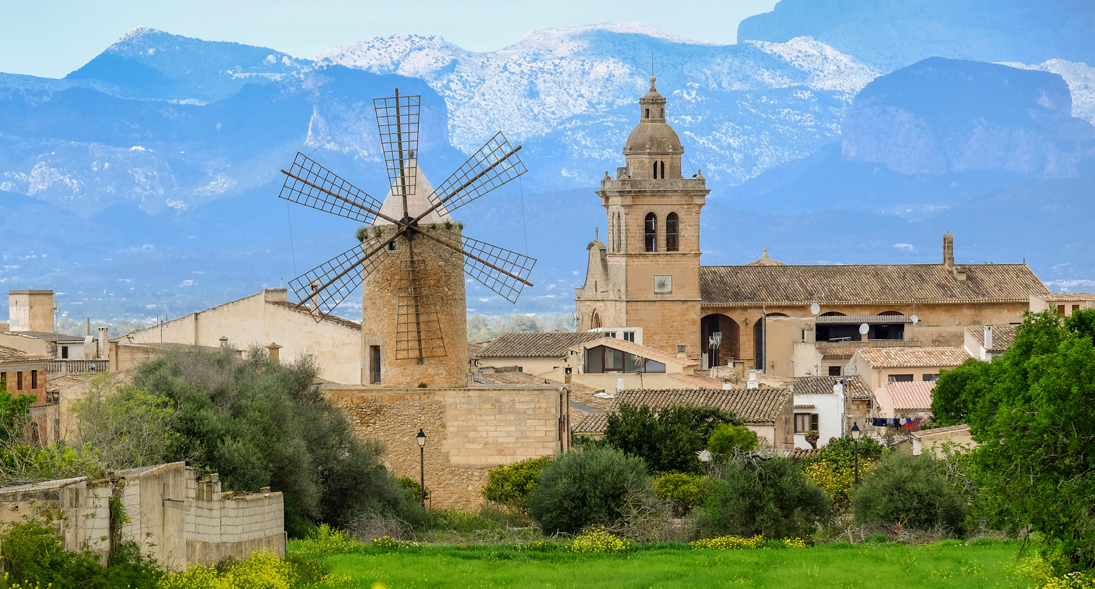 La serra de Tramuntana es fa present als pobles des Pla. A la imatge, és l’escenari de fons del molí i de l’església de Sant Pere i Sant Pau d’Algaida