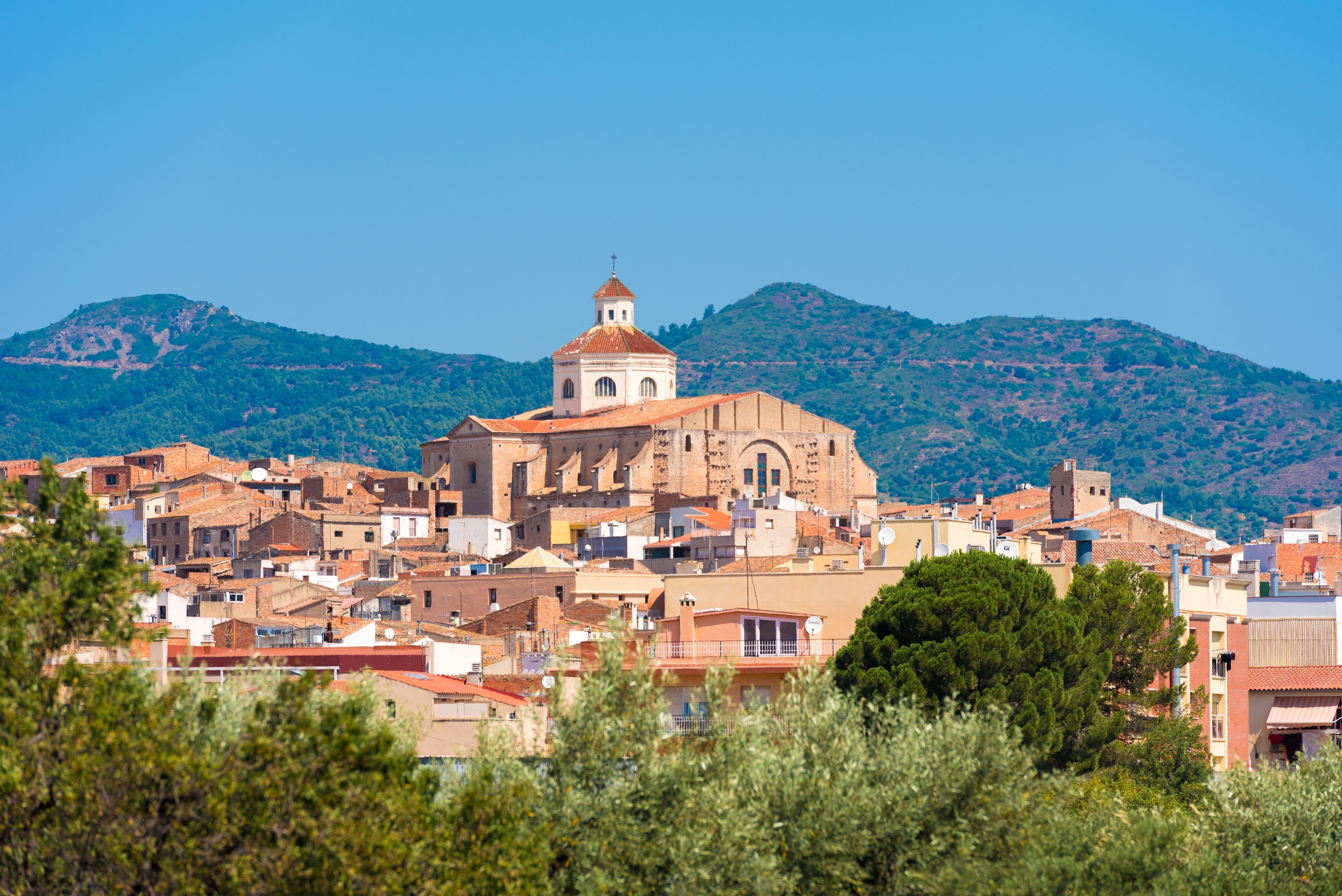 Vista de Mont-roig del Camp