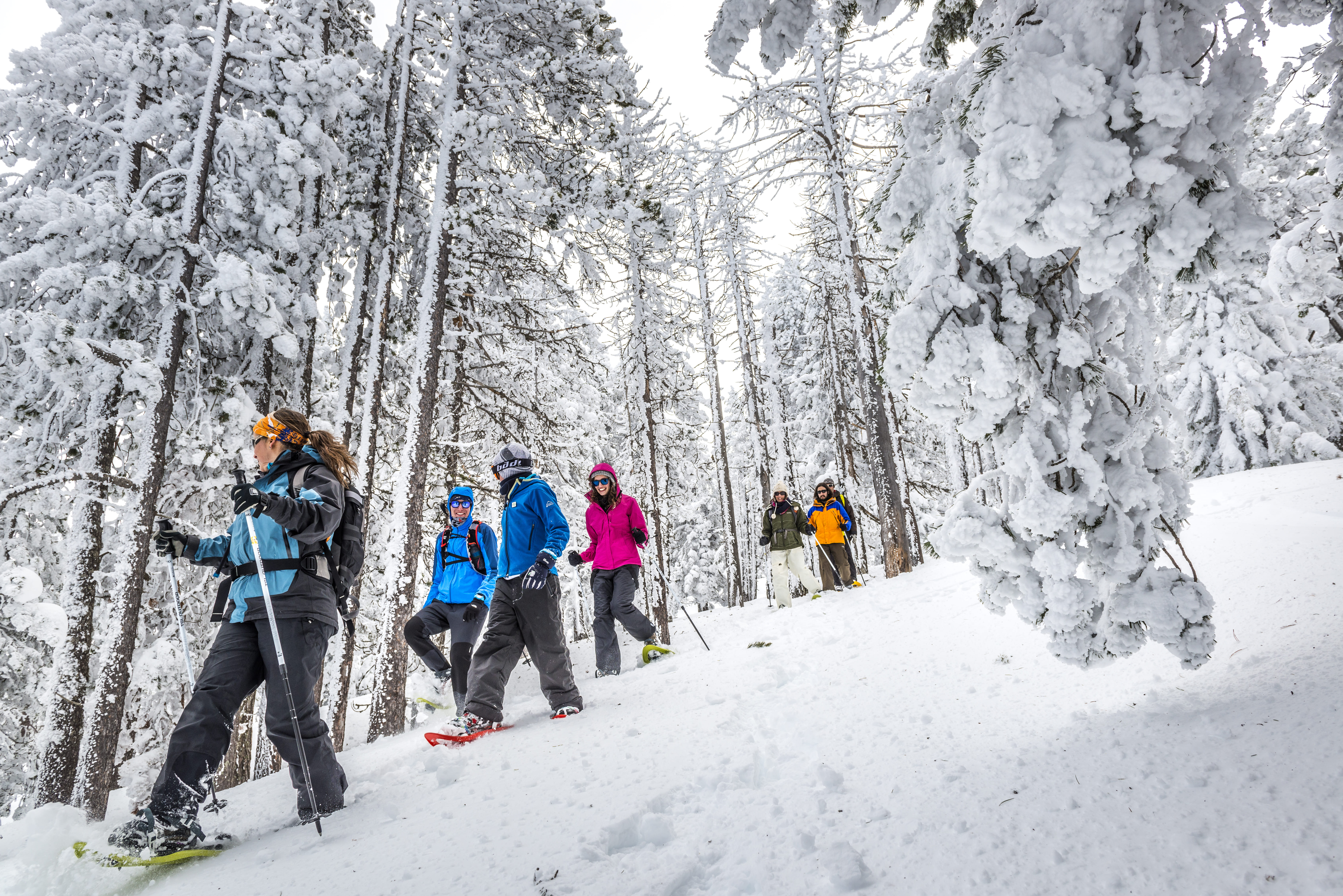 Sortida amb raquetes de neu