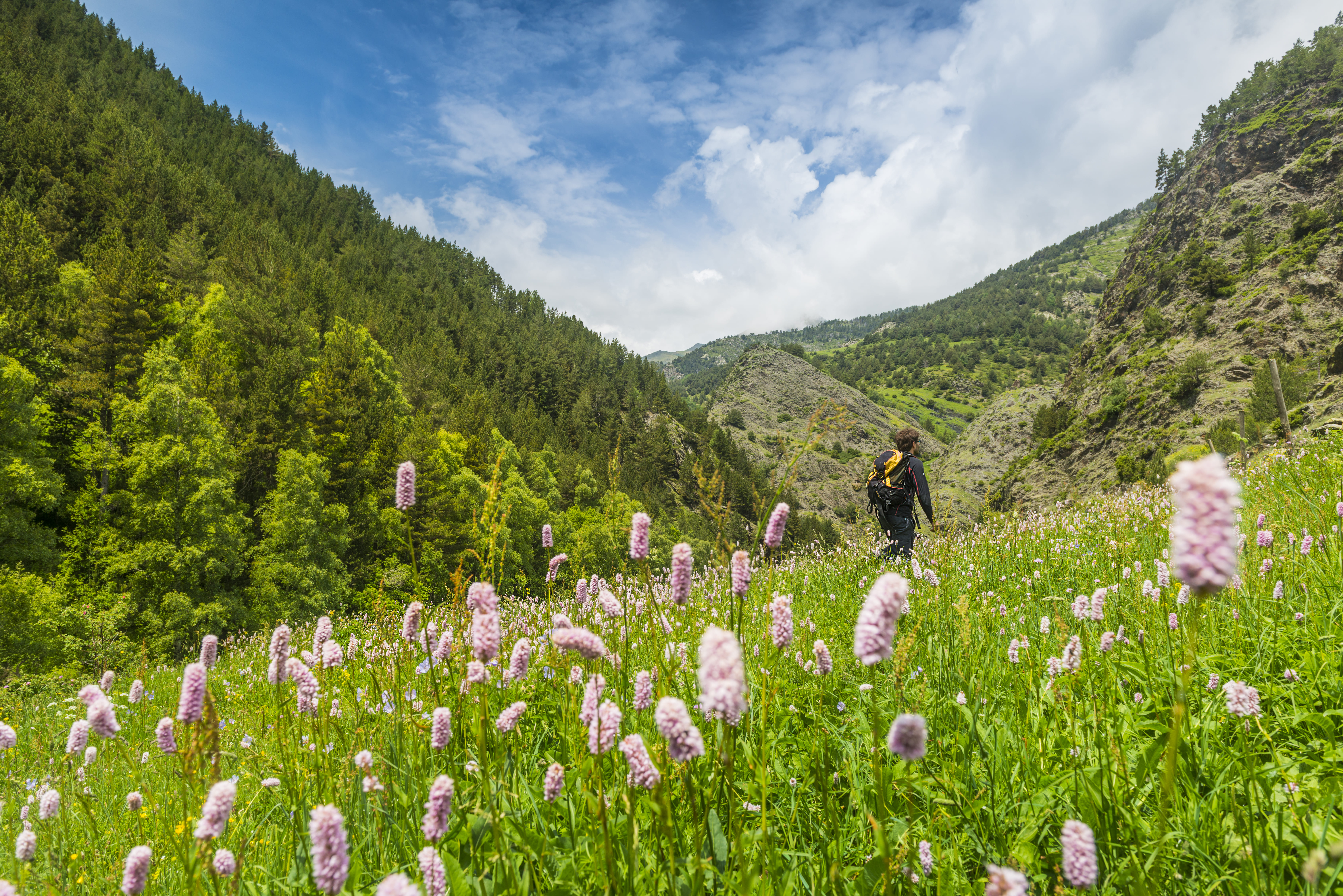 Prats de Tor, al terme d’Alins