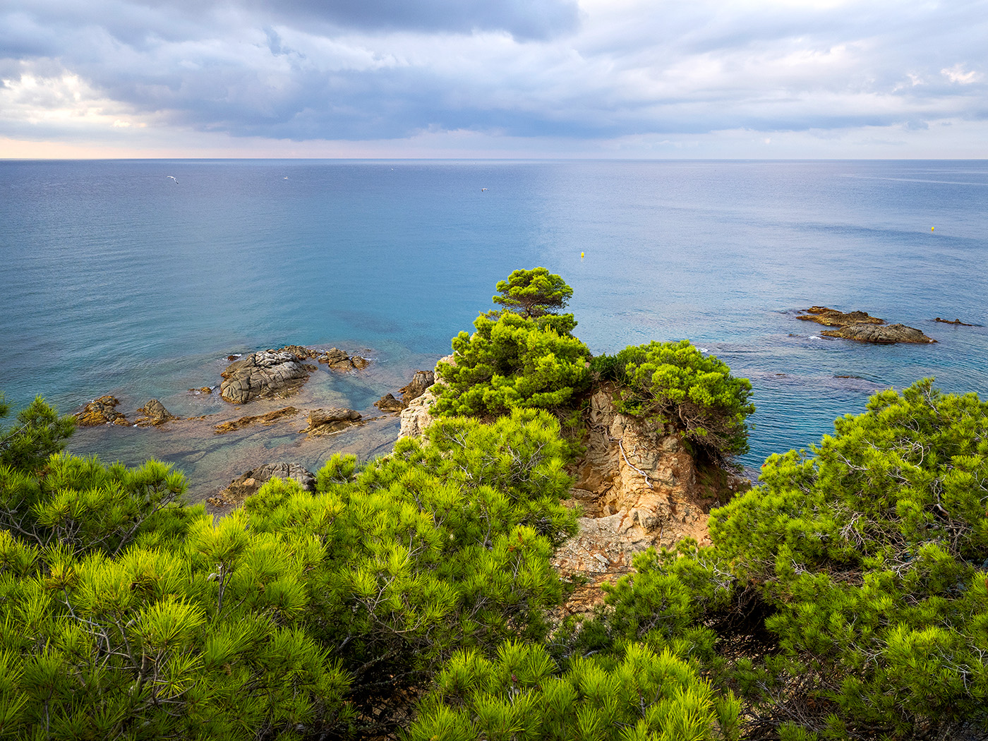 Les pinedes a tocar de la mar, les roques i els penya-segats són característics de la Costa Brava, que comença a Blanes, a la Selva marítima