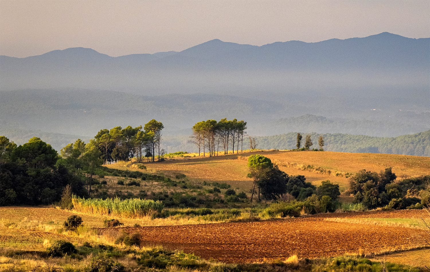 El Terraprim de l'Empordà, un gran mosaic rural