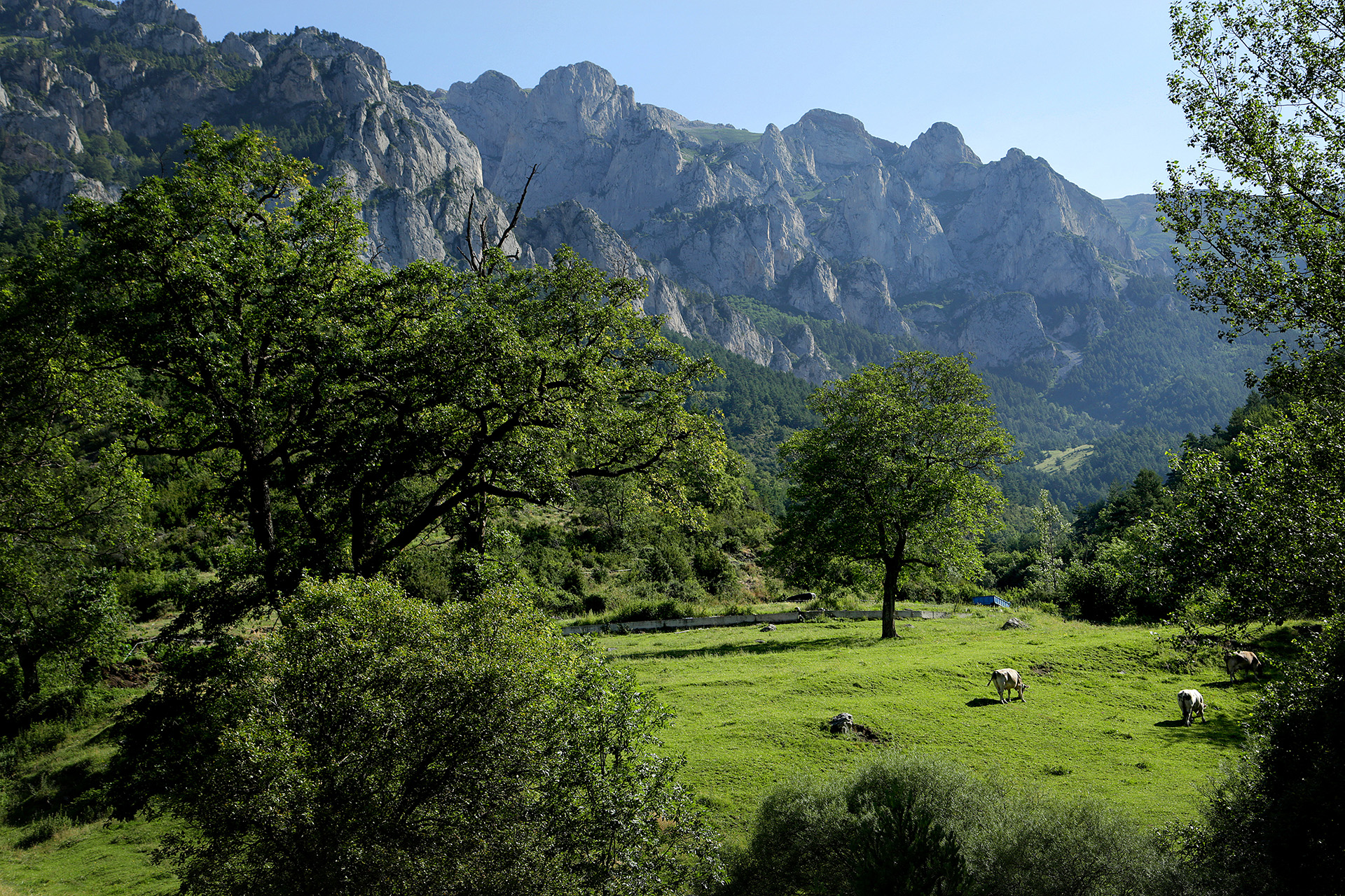 Des del veïnat de l’Hospitalet de Roca-sança es pot ascendir a la Tosa d’Alp a través del coll de Jou