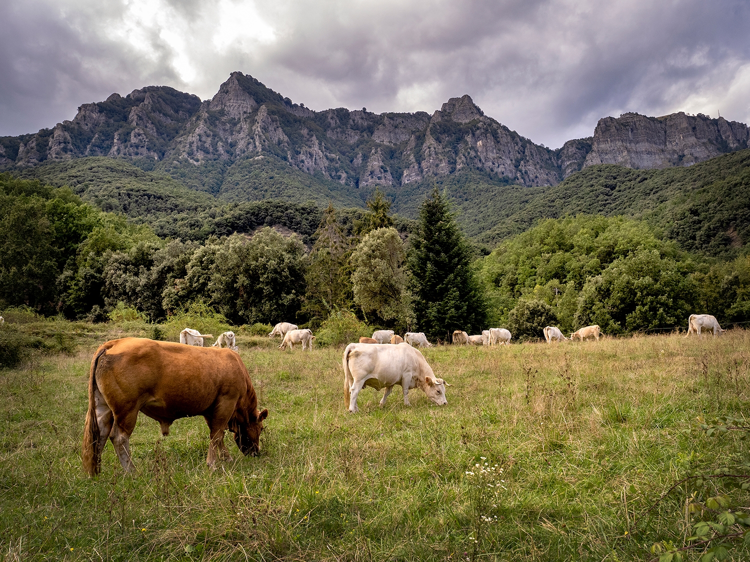 La Vall d'en Bas i la pagesia