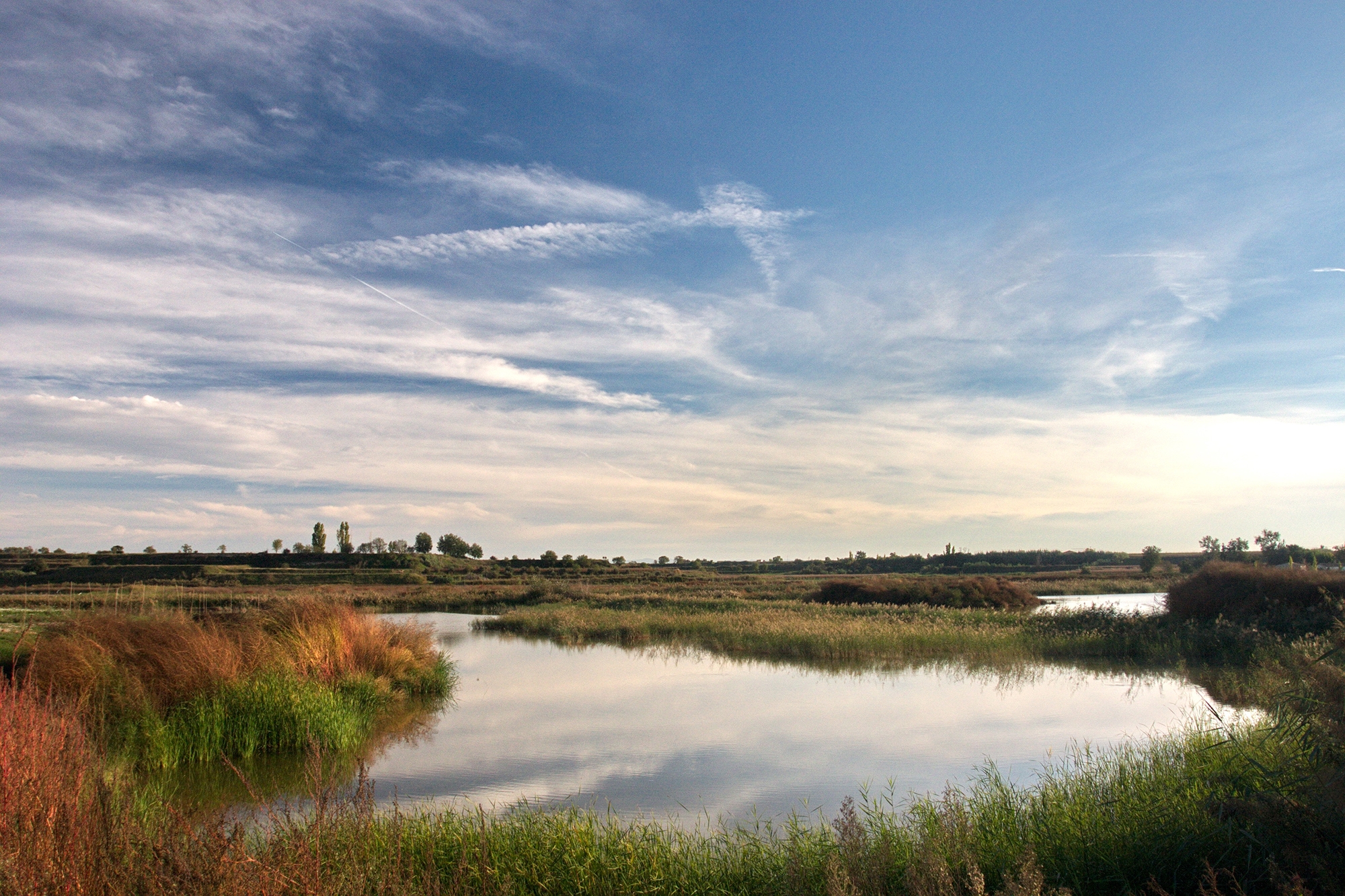 L'estany d'Ivars i Vila-sana és un paratge natural al vell mig del Pla d'Urgell