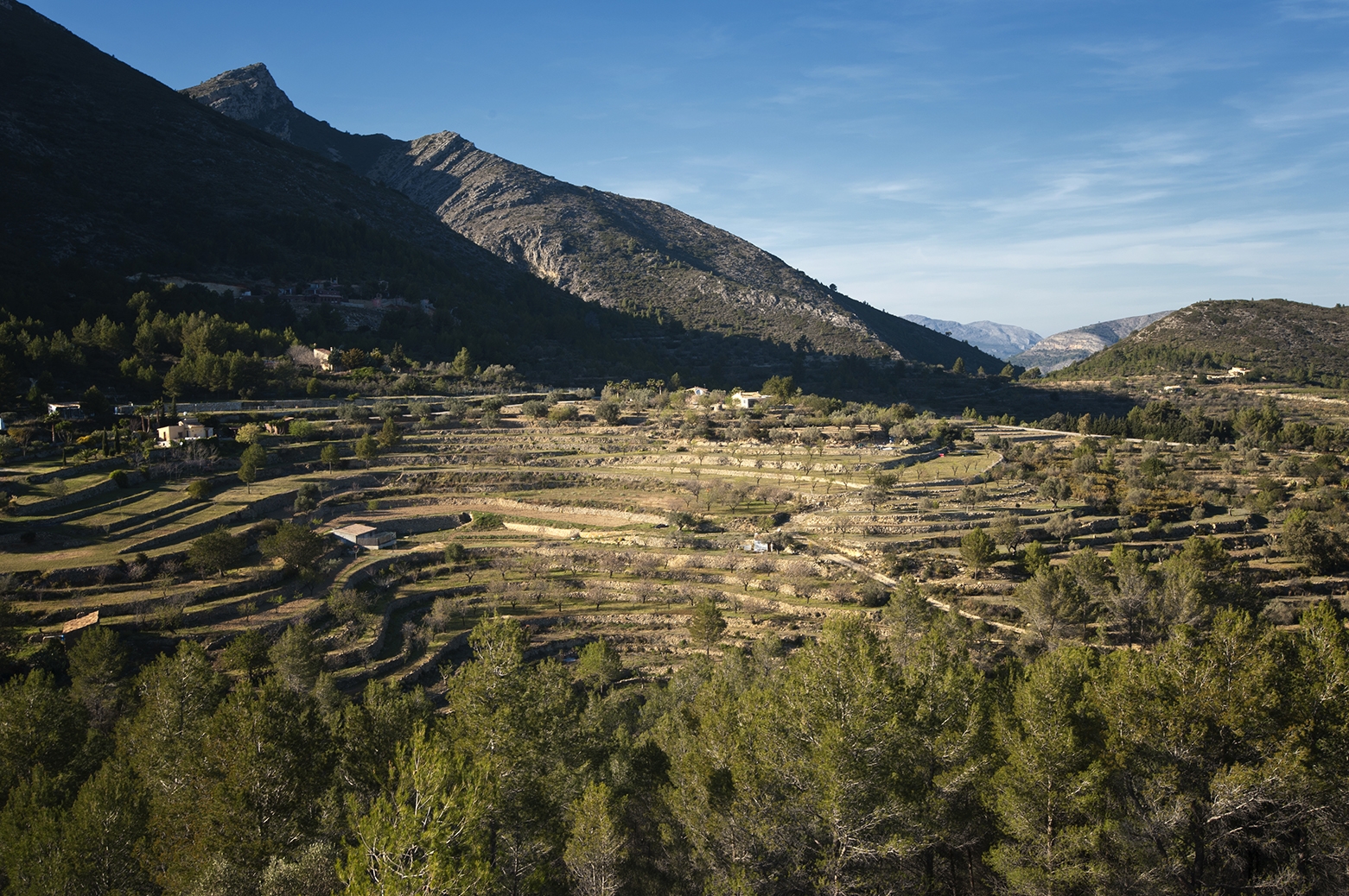 Els bancals de pedra seca i els camps en terrenys amb pendents pronunciats són una herència sarraïna.