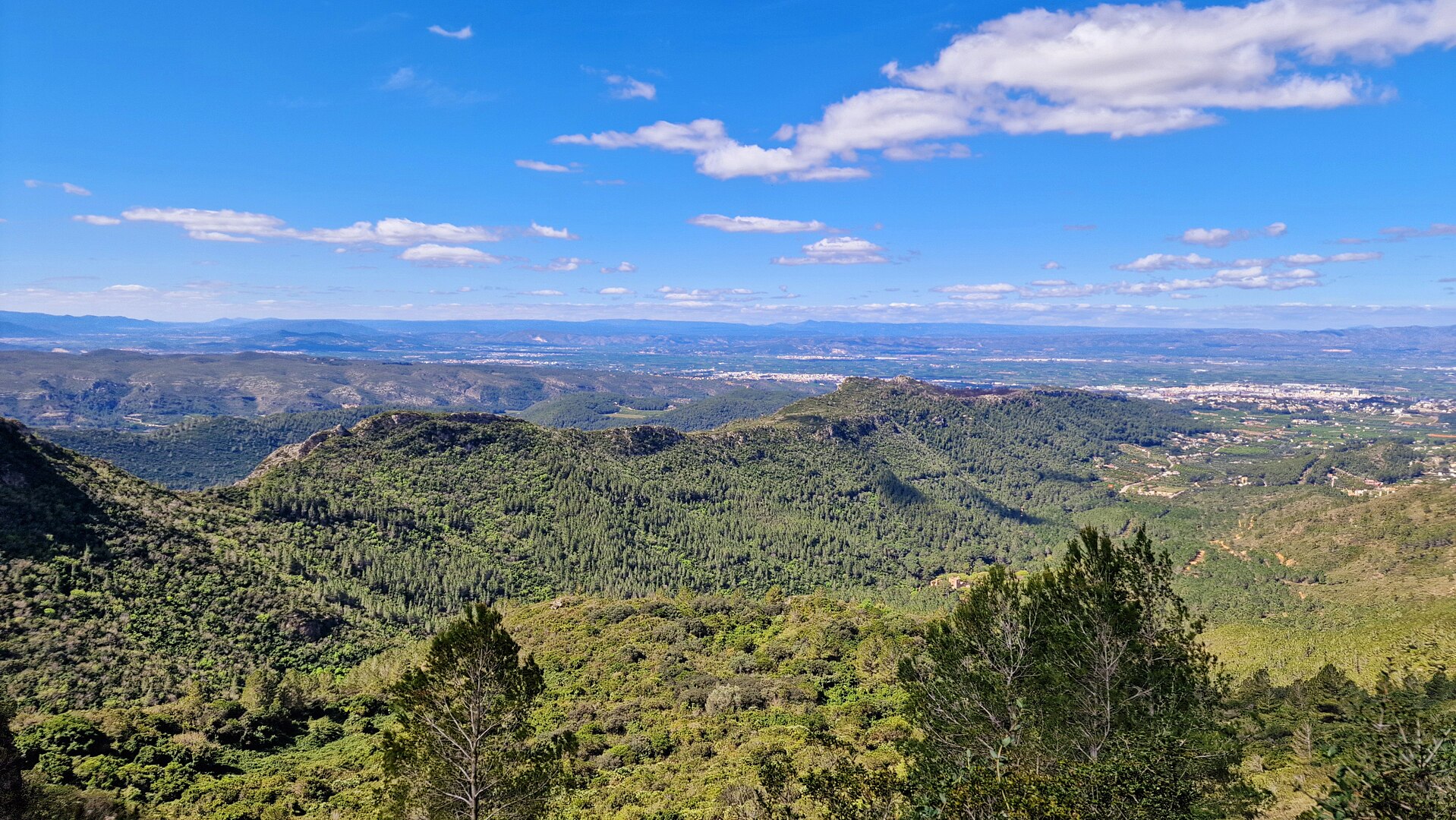 El paratge natural de la Murta