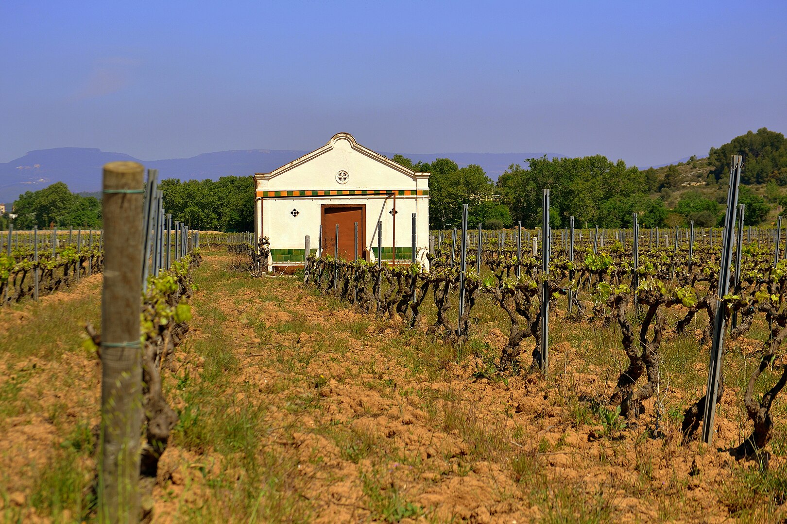 Caseta de vinya, prop de Vilafranca