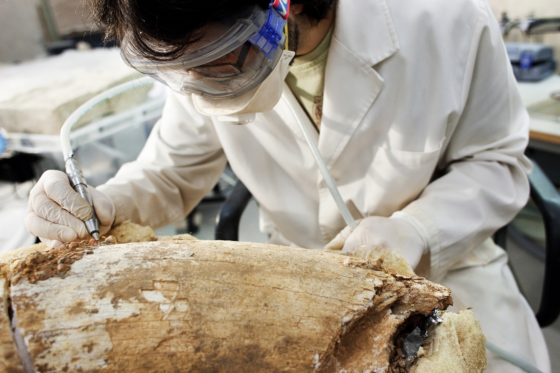 Molt sovint cal analitzar detalls de les obres com ara la composició dels pigments usats.