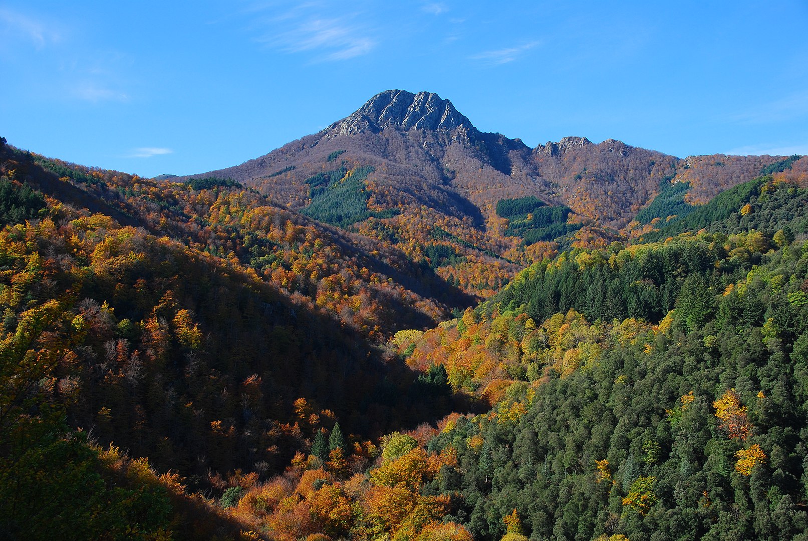 Paisatge de tardor al Montseny